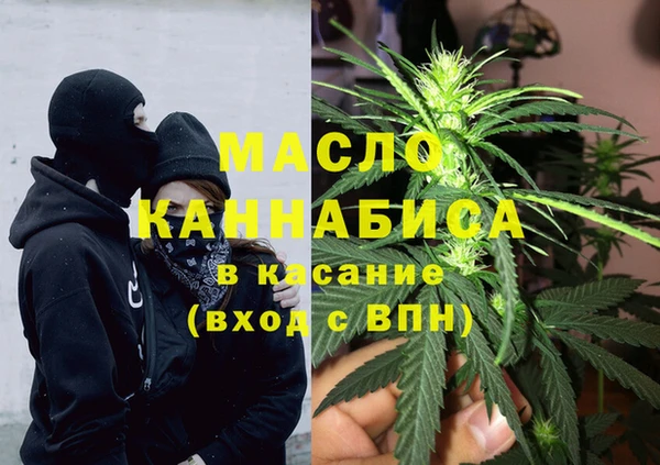 индика Медвежьегорск