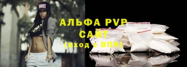 индика Медвежьегорск