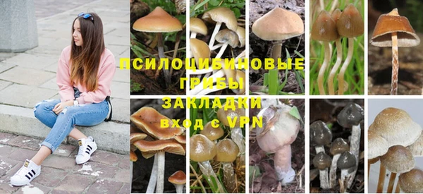 наркотики Медногорск