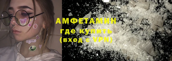 индика Медвежьегорск