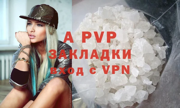 индика Медвежьегорск