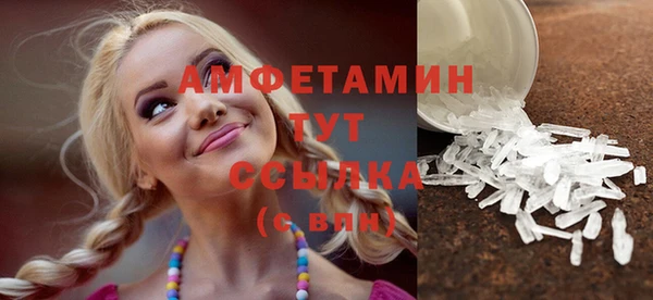 индика Медвежьегорск