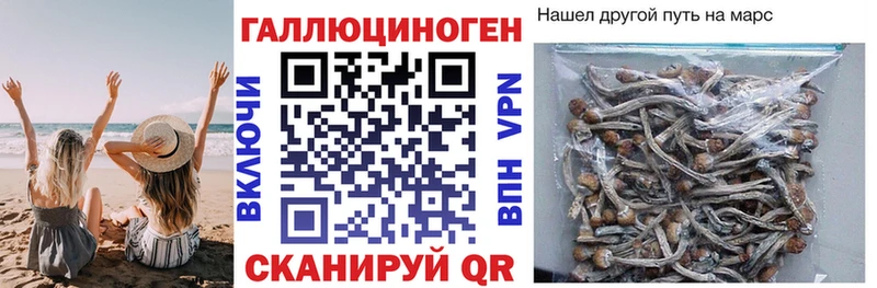 Галлюциногенные грибы мицелий Нолинск